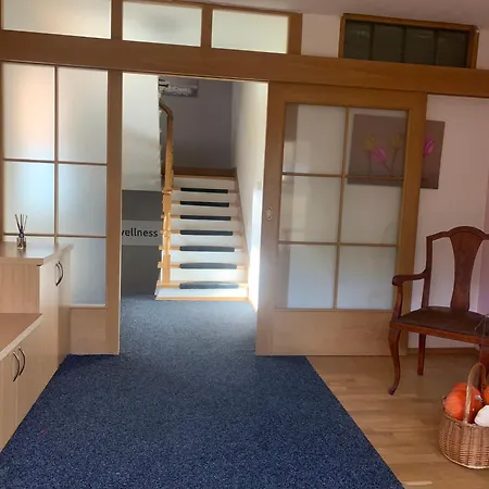 Rokytnice Apartment *