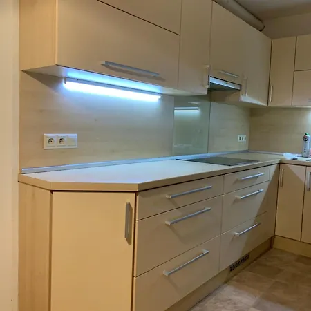 Apartment Rokytnice
