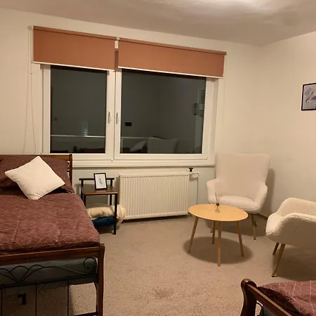 Rokytnice Apartment *